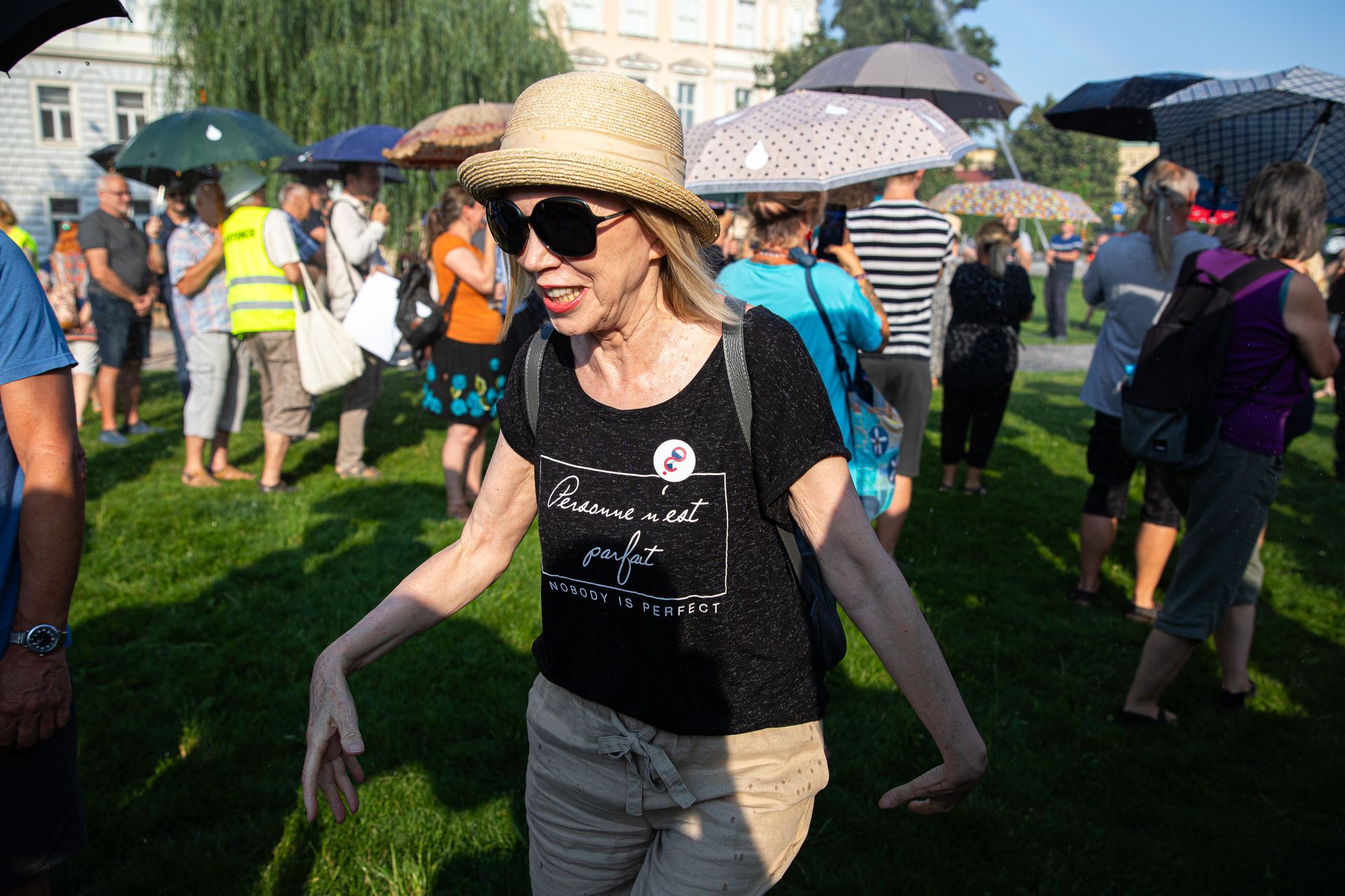 Foto Pavel Blažek přišel s deštníkem na demonstraci proti němu Řečnit