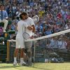 Djokovič vs. Del Potro, semifinále Wimbledonu 2013