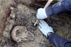 Unikát: V USA našli hroby prvních anglických kolonistů