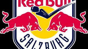 Red Bull Akademie