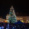 Vánoční stromy - Česká Lípa