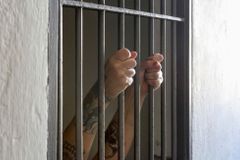 V Jižní Karolíně chtějí popravovat zločince na elektrickém křesle, věznicím chybí smrticí injekce