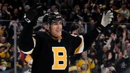 hokej, NHL 2021/2022, Tampa Bay Lightning at Boston Bruins, Tomáš Nosek