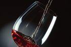 Nové kontroly sudového vína omezily falšování, věří šéf potravinářské inspekce