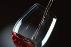 V prestižním přehledu 1000 světových vín je 28 z Česka