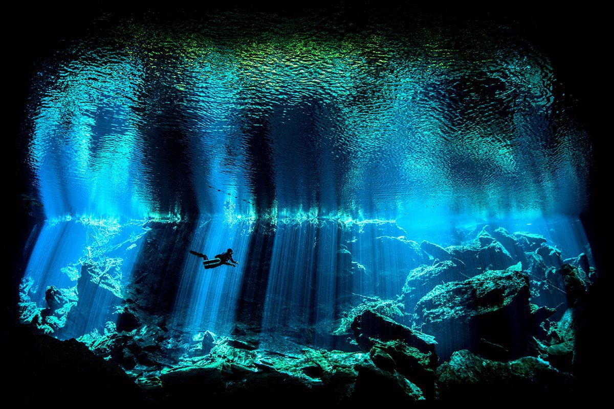 Underwater Photographer of the Year 2017: Vítězové soutěže