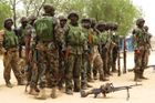 Při útoku nigerijské armády proti islamistům 17 mrtvých