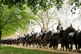 Na trase z Westminsterské katedrály zpět do Buckinghamského paláce bude královskou rodinu a hosty doprovázet kavalérie gardistů na koních, vojenské orchestry s trubači a bubeníky.