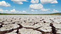 sucho, počasí, nedostatek vody, ekosystém
