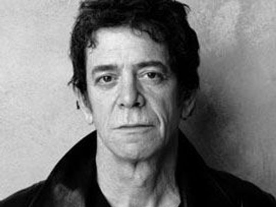 Infobox Lou Reed.