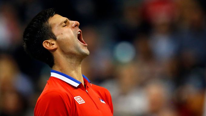 Obhajoba českého titulu v Davis Cupu nezačala ideálně a Novak Djokovič mohl slavit první bod, ale nakonec je to po druhé dvouhře díky Tomáši Berdychovi nerozhodně ukořistil první bod finále. Podívejte se na fotky z emotivního tenisového dne.