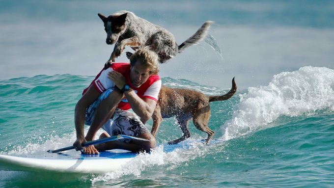 australský surfař a trenér psů