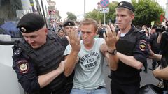 Alexej Navalnyj, demonstrace, policie