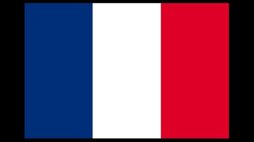 Vlajka Francie - sport