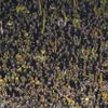 Borussia Dortmund - Borussia Mönchengladbach (Radovali se i fanoušci)