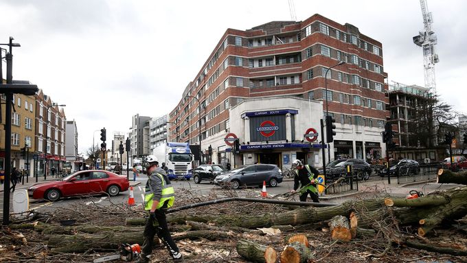 Workers remove a tree lying across a road after it was blown over by high winds, in London, Britain March 10,  2019. REUTERS/Henry Nicholls