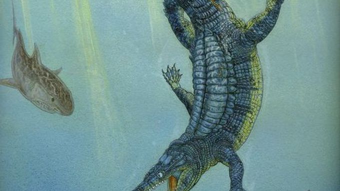 Ilustrační foto. S pravěkými krokodýly měl Pakasuchus stejný jen tvar těla.