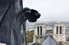 Unikátní video před požárem: Horolezec natočil Paříž z věžičky, která se zřítila