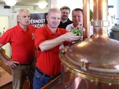 Pivovar Gambrinus nabídne speciální pivo dochmelené čerstvým chmelem z letošní skližně.