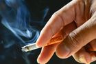 KSČM: zvýšení daní na cigarety a tabák podpoříme. Může začít platit už od ledna 2020