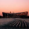 Aj Wej-Wej, Pekinský národní stadion