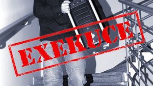 Mobiliární exekuce, vykonavatel a náklady