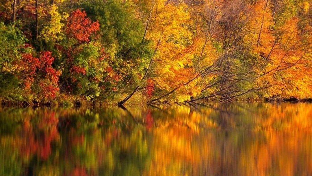 GALERIE: Podoby barevného podzimu, které vás inspirují