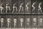 Muybridge při svých studiích rozfázovaného pohybu nezůstal jen u koní. Zajímal ho také pohyb člověka. (Originální název tohoto snímku je Plate Number 180. Stepping on and over a chair a vznikl v roce 188). Fotografie je nyní ve sbírkách National Gallery of Art ve Washingtonu, která umožnila jeho volné užití prostřednictvím Wikimedia Commons.