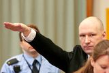 Breivik do soudní síně přišel se zdvihnutou zaťatou pěstí a následně chladně popisoval, jak zabil 77 lidí. Při odvolacím řízení v roce 2016 dokonce v soudní síni hajloval.