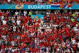 Čeští reprezentanti na zaplněném stadionu v Budapešti...