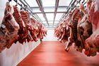 Stále více mladých Čechů přestává jíst maso. Kvůli zdraví ho letos omezují i ostatní