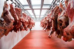 Produkce masa v Česku loni přesáhla 450 tisíc tun. Výroba i dovoz vepřového klesly