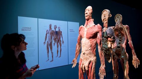 Čižinský: Čína říká, že neví nic o původu těl. Z výstavy mrtvol je mi zle. Mám povinnost je pohřbít