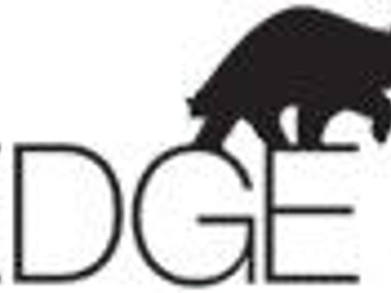 Infobox EDGE
