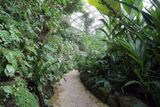 Tropická džungle díky němu přežila letošní zimu.
