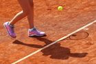 Po dlouhých pěti letech se na českém území hraje turnaj okruhu WTA. J&T Banka Prague Open s dotací 250 tisíc dolarů se koná od pondělí do soboty 1. května na antukových dvorcích pražské Sparty ve Stromovce.