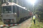 Na Pelhřimovsku se na úzkokolejce srazily vlaky. Devět lidí je zraněných, škoda 800 tisíc