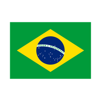 Brazílie Vlajka Brazílie - sport