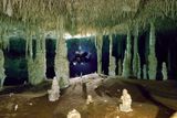 Jeskynní systém Tux Kupaxa je kromě nádherné výzdoby pověstný i nálezem kosterních pozůstatků mastodonta.