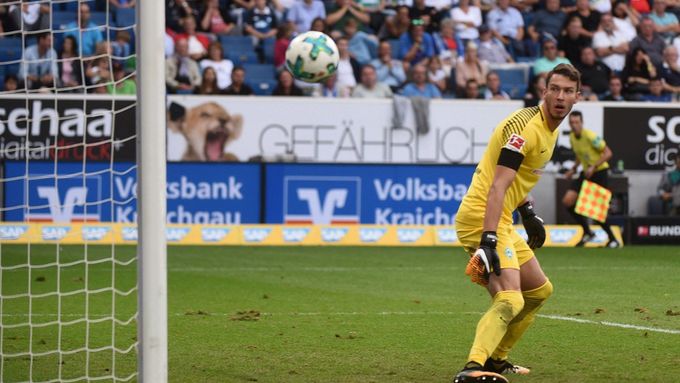 Jiří Pavlenka odchytal za Brémy dva zápasy proti Hoffenheimu (0:1) a Bayernu (0:2).