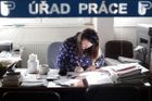 Nezaměstnaných v Česku ubyde. Nová statistika je unikát