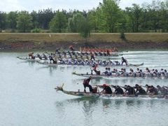 Českého poháru dračích lodí v Račicích se účastnilo na tisíc závodníků. O tak hojné účasti si mohou kanoisté jenom nechat zdát.