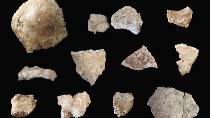 Stáří nalezených úlomků odhadují čínští vědci na sto tisíc let.