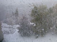 Sníh v Jablonci láme stromy