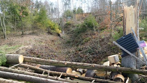 Místo dřevorubců pomáhá v ZOO Olomouc lesnický stroj