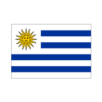 Uruguay Vlajka Uruguaye - sport