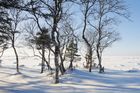 Na Česko se žene silný vítr a sněžení. Po víkendu se vyjasní, teploty ale klesnou hluboko pod nulu
