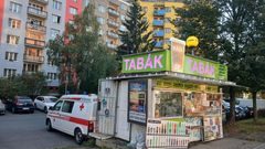 Sídliště, reportáž, volby