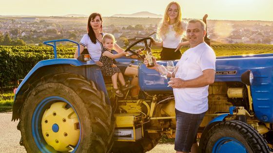 Fenomén burčák. Tajemství české speciality, kterou nikde jinde neochutnáte