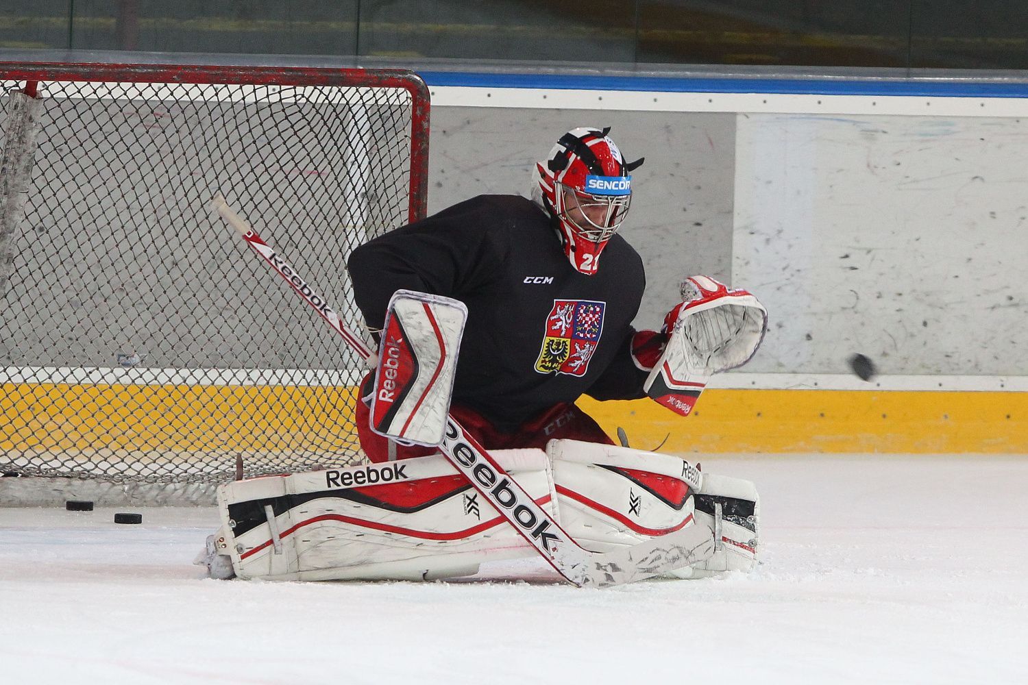 Sraz hokejové reprezentace před Karjalou 2015: Jakub Kovář